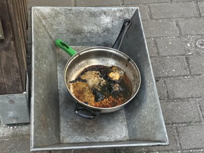 Foto vom Album:
