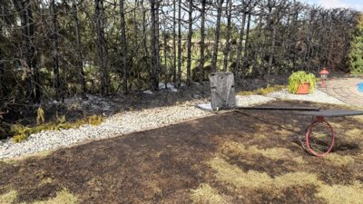 019/2025 - Heckenbrand