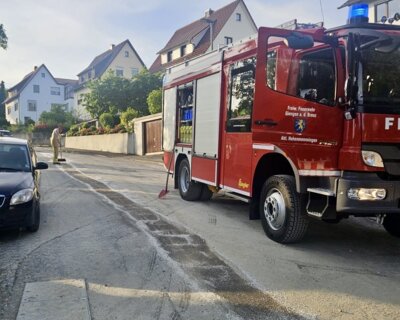 Foto vom Album: