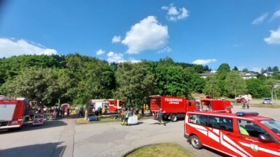 Foto vom Album: