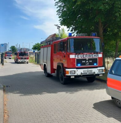 Vorschaubild