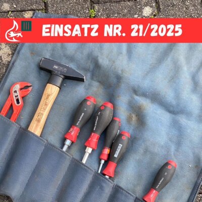 Foto vom Album: