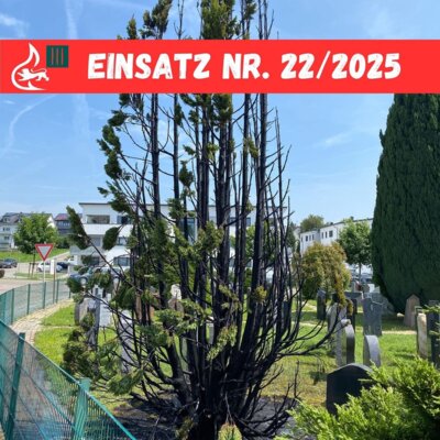 Foto vom Album: