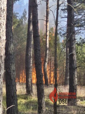 Quelle : Feuerwehrnachrichten OSL