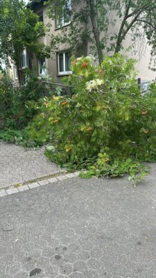 Foto vom Album: 