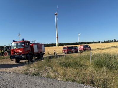 Foto vom Album: