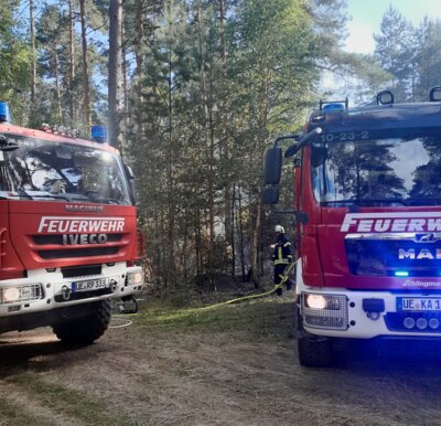 Foto vom Album:
