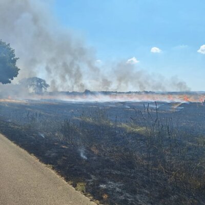  Foto vom Album: 