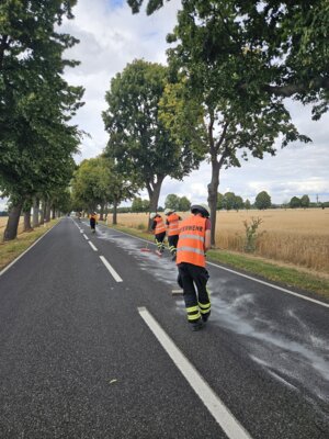 Foto vom Album: