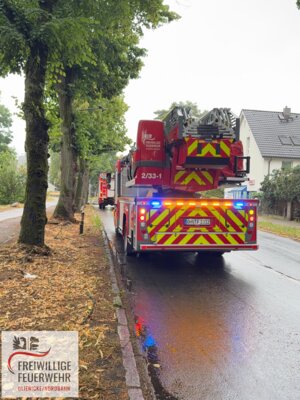  Foto vom Album: 