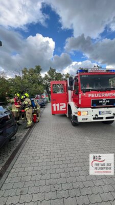 Foto vom Album: