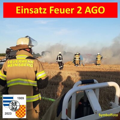 Foto vom Album: