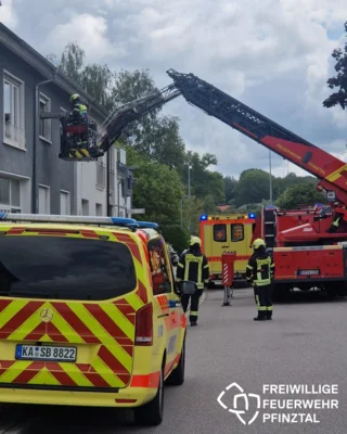 Foto vom Album: