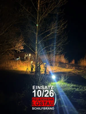 Schilfbrand nahe Gerwisch
