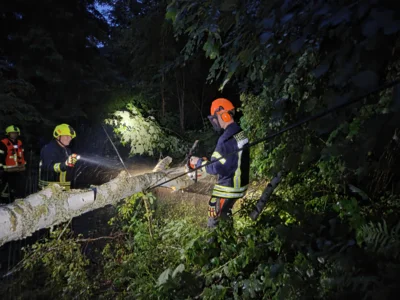 Umgestürzter Baum auf Straße und Telefonleitung
