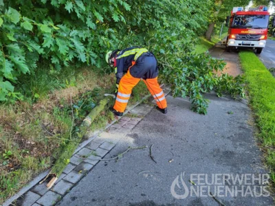 Vorschaubild