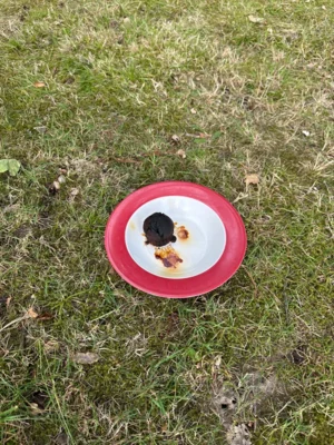 Foto vom Album: 
