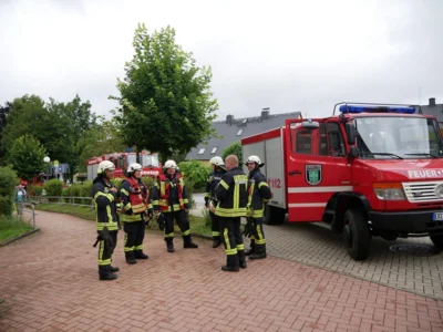  Foto vom Album: 