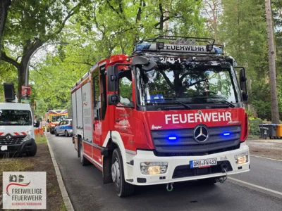  Foto vom Album: 