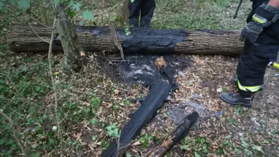  Foto vom Album: 