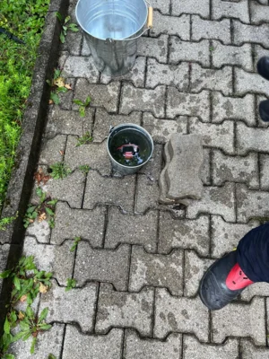  Foto vom Album: 