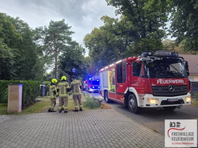  Foto vom Album: 