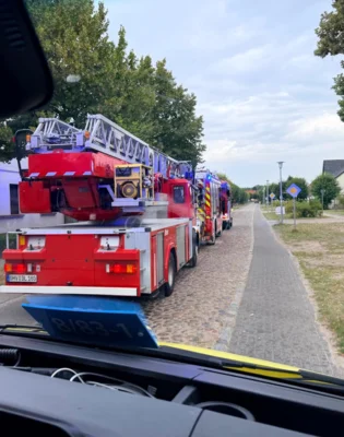 Foto vom Album: 