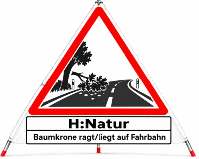  Foto vom Album: 