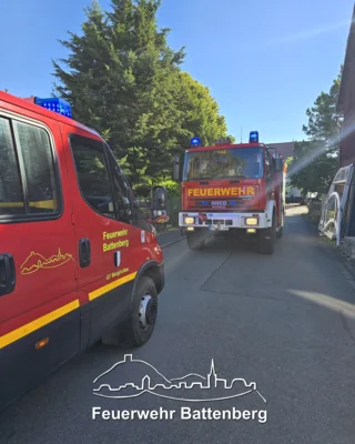  Foto vom Album: 