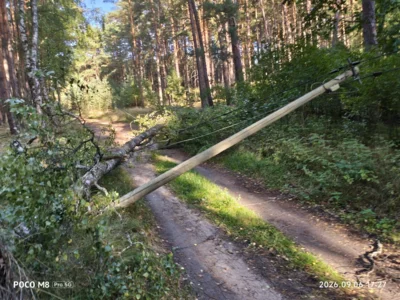  Foto vom Album: 