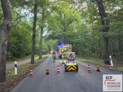  Foto vom Album: 
