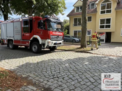  Foto vom Album: 