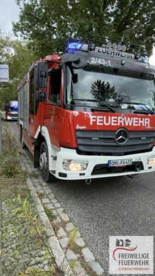  Foto vom Album: 