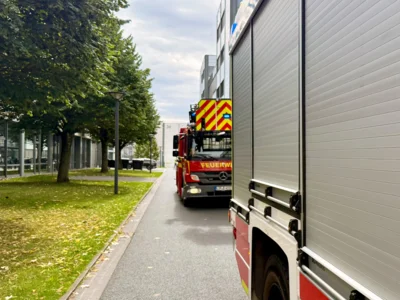  Foto vom Album: 