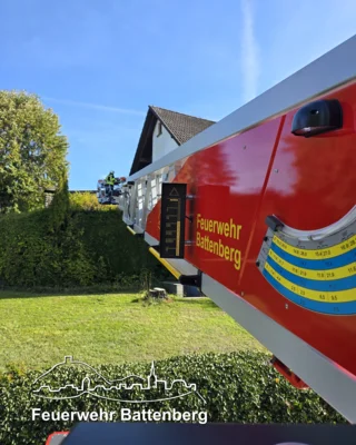  Foto vom Album: 