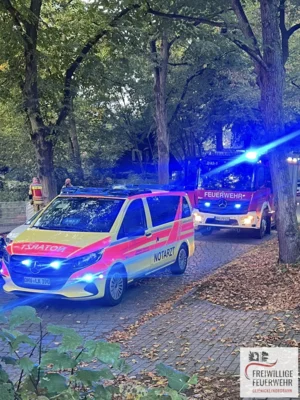  Foto vom Album: 