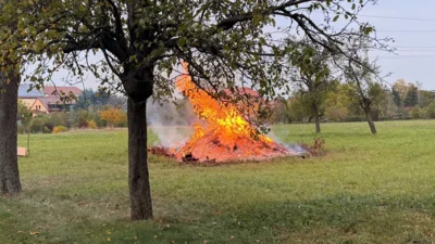  Foto vom Album: 