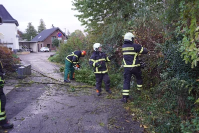  Foto vom Album: 