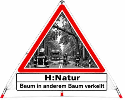  Foto vom Album: 
