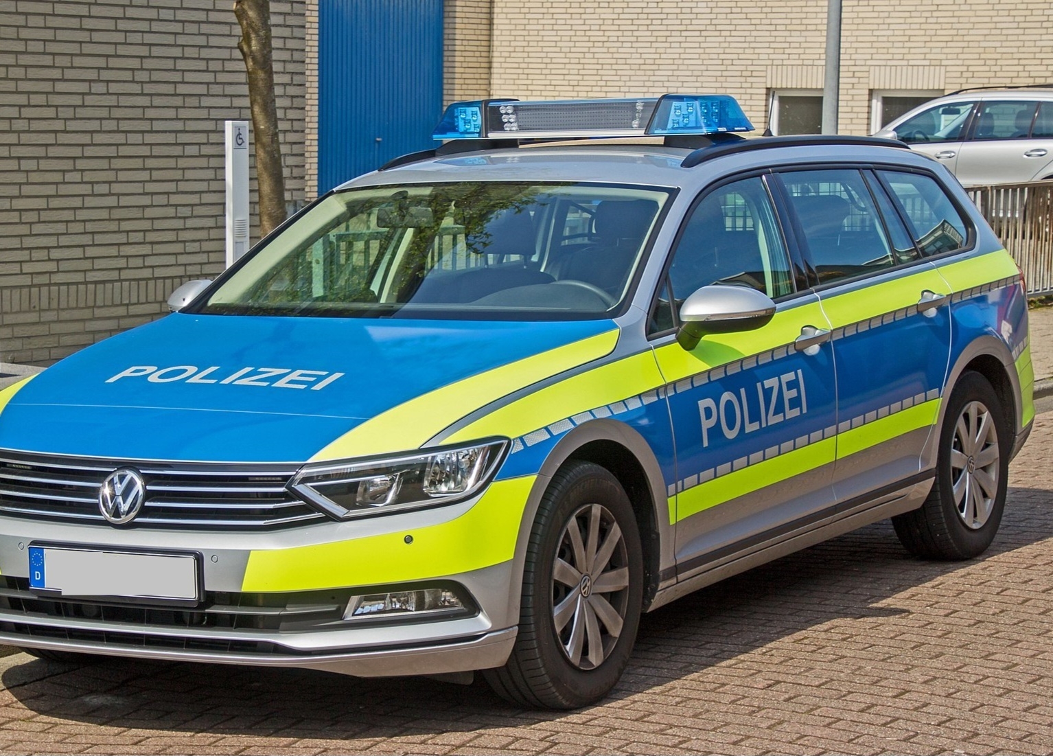 Bild der Galerie