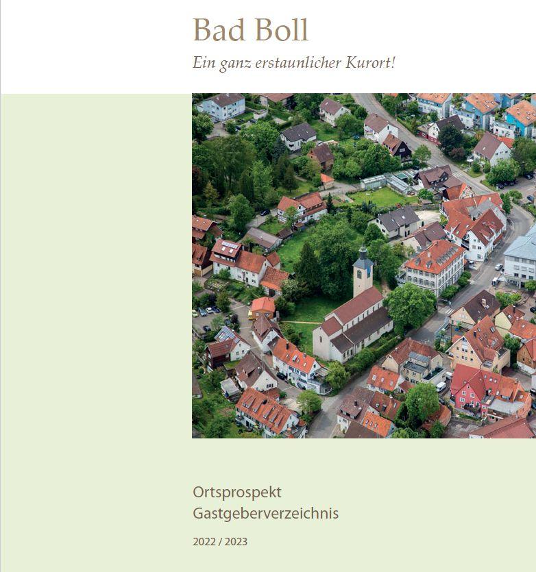 Ortsprospekt