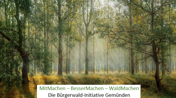 Waldbegang 2023