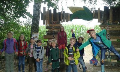 Foto des Albums: Maislabyrinth