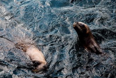 Foto des Albums: Familienzeit Bremerhaven