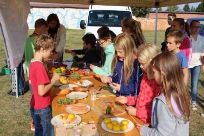 Foto des Albums: Kinder- und Jugendsportfest in Wittstock (23.09.2016)