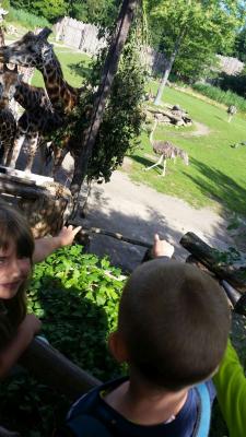 Foto des Albums: Leipziger Zoo