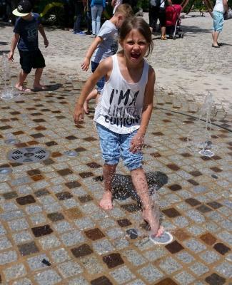 Foto des Albums: Leipziger Zoo
