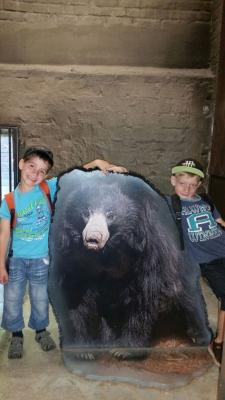 Foto des Albums: Leipziger Zoo