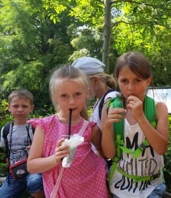 Foto des Albums: Leipziger Zoo