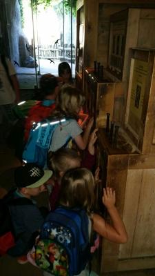 Foto des Albums: Leipziger Zoo